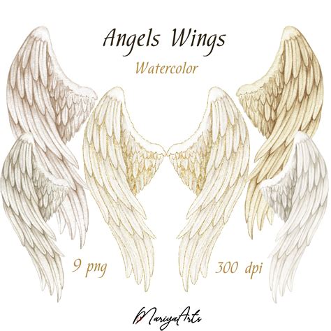 angel wings watercolor|12,873 results for angel wing watercolor in all .